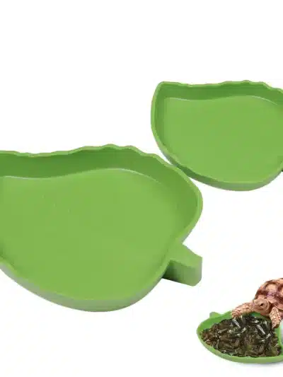 Leaf Shape Amphibians Reptiles Feeder