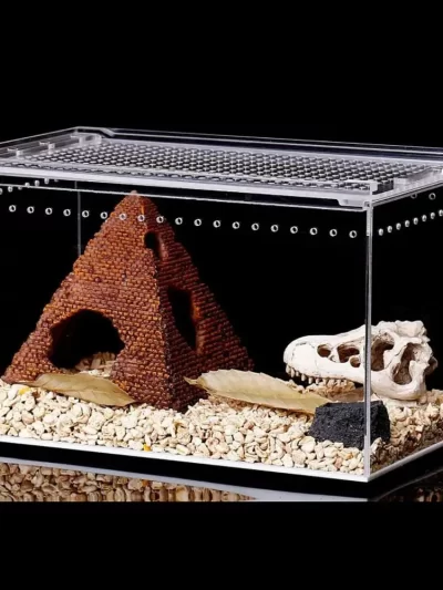 Transparent Reptile Breeding Box
