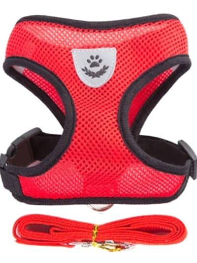 Dog Harness With Walking Leash