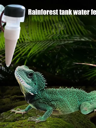 Chameleon Water Drinker