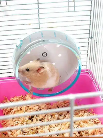 Small Pets Guinea Pig Hamster Wheel