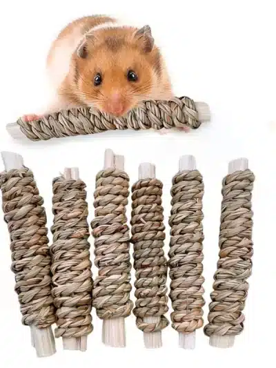 6pcs Bamboo Apple Wood Molar Toy