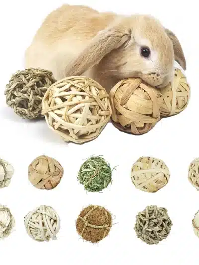 Pet Rabbit Hamster Chewing Ball