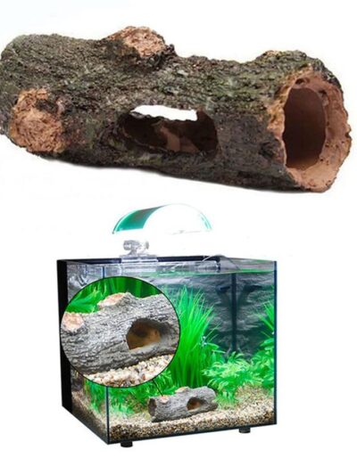 Log Tree Tunnel Cave