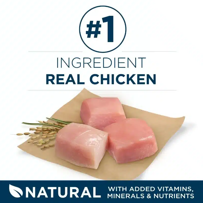 Plus Large Breed Adult Dog Food Dry Formula dog supplies - Image 3