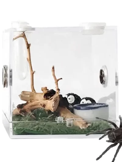 1PCS Reptiles Breeding Box