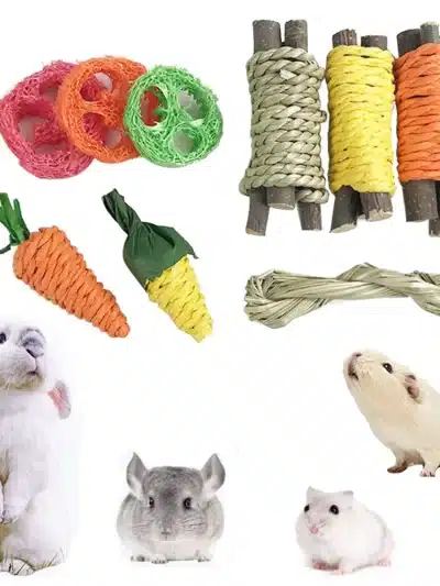 9Pcs Pet Rabbit Chew Toy Sets