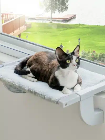 Meewoofun Cat Window Perch