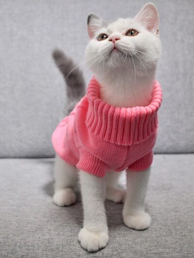 Cat Sweater Pullover