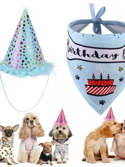 1~10PCS Birthday Party Hat and Bandana