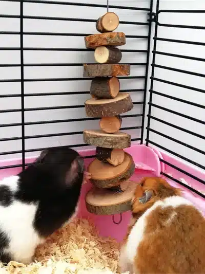 Hamster Rabbit Chew Grinding Toy