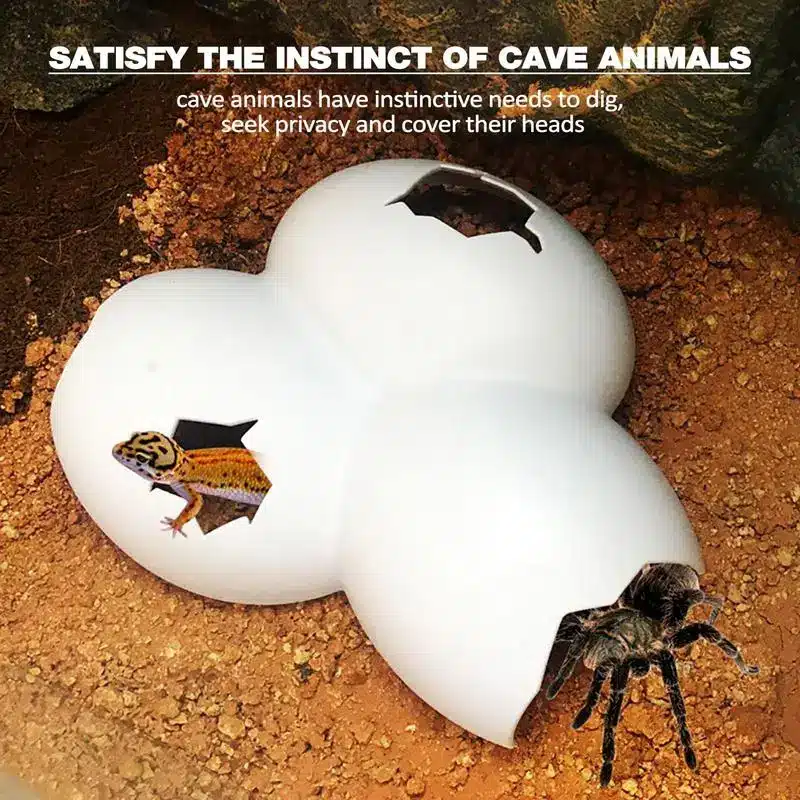 Egg Shape Simulation Rock Cave - Image 4