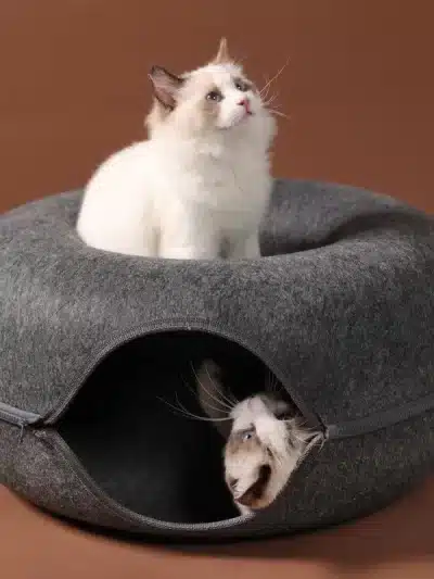 Cat Tunnel Bed