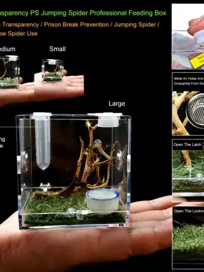 Reptiles Breeding Box Terrarium