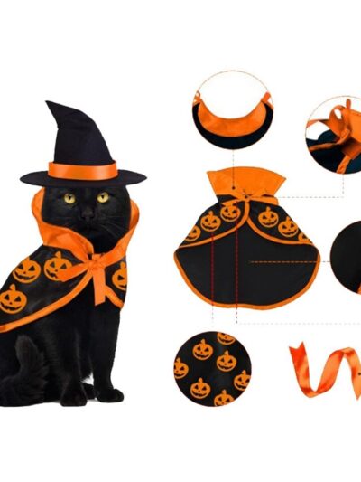 Halloween Cloak and Hat Set