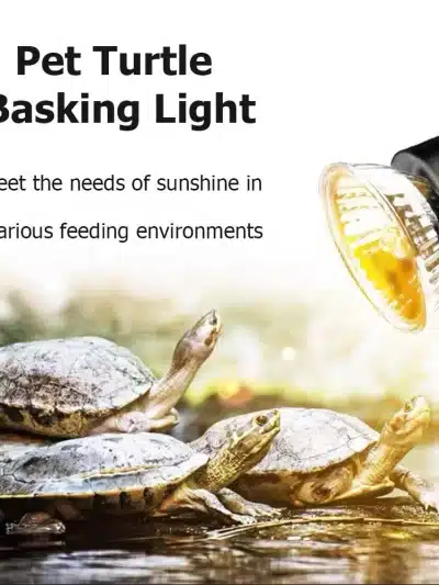 UVA+UVB Reptile Lamp