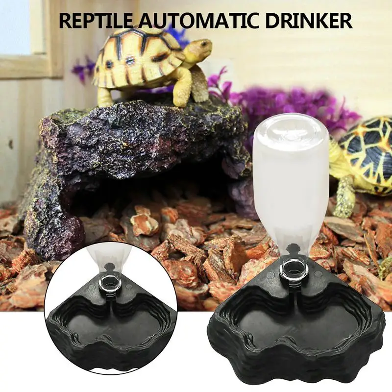 Pet Reptiles Turtles Feeder - Image 2