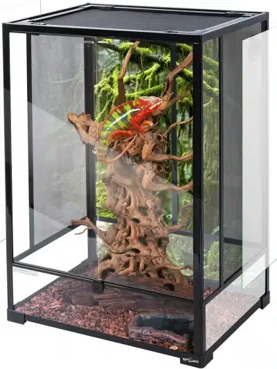 Reptile Tall Glass Terrarium