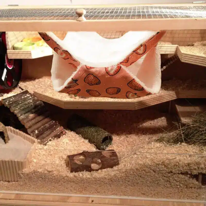 Hamster Swing - Image 5