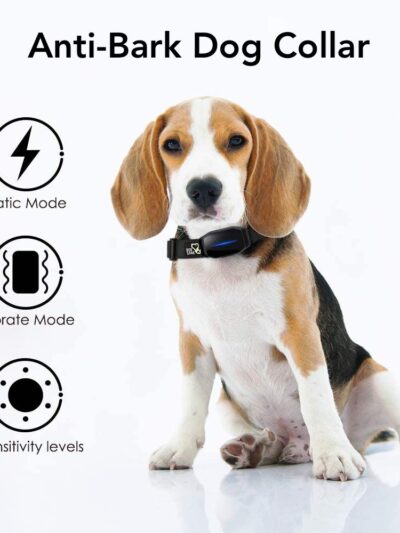 Anti-Bark Dog Collar with 7 Shock Modes & Vibration