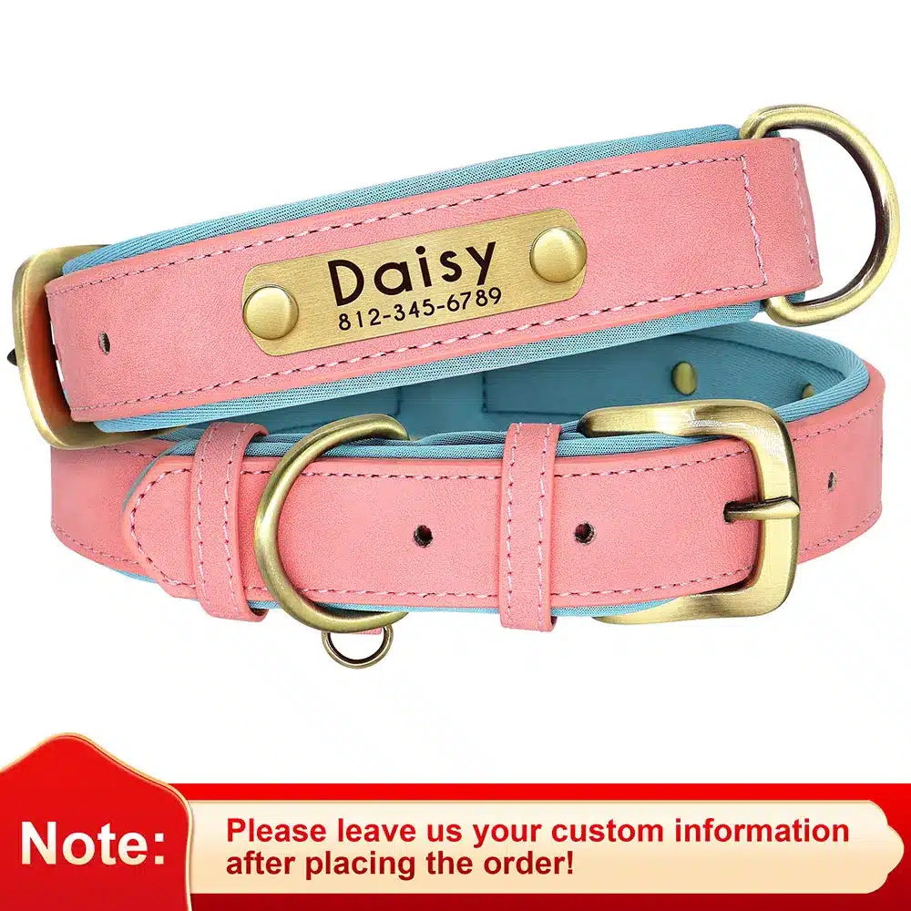 Customized Leather ID Nameplate Dog Collar Soft Padded Dogs Collars Free Engraving Name for Small Medium Large Dogs Adjustable - Image 11