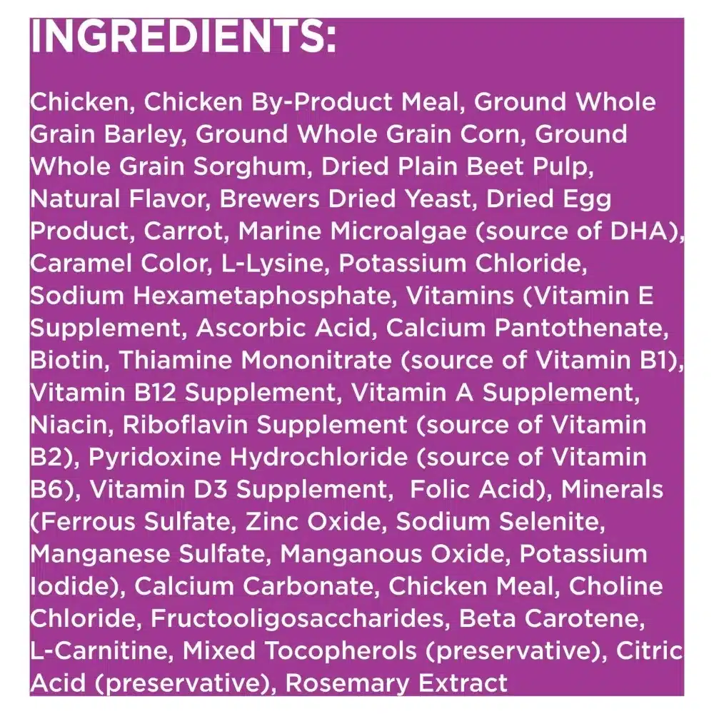 IAMS Healthy Aging Adult Dry Dog Food for Mature and Senior Dogs with Real Chicken, 29.1 lb. Bag - Image 4