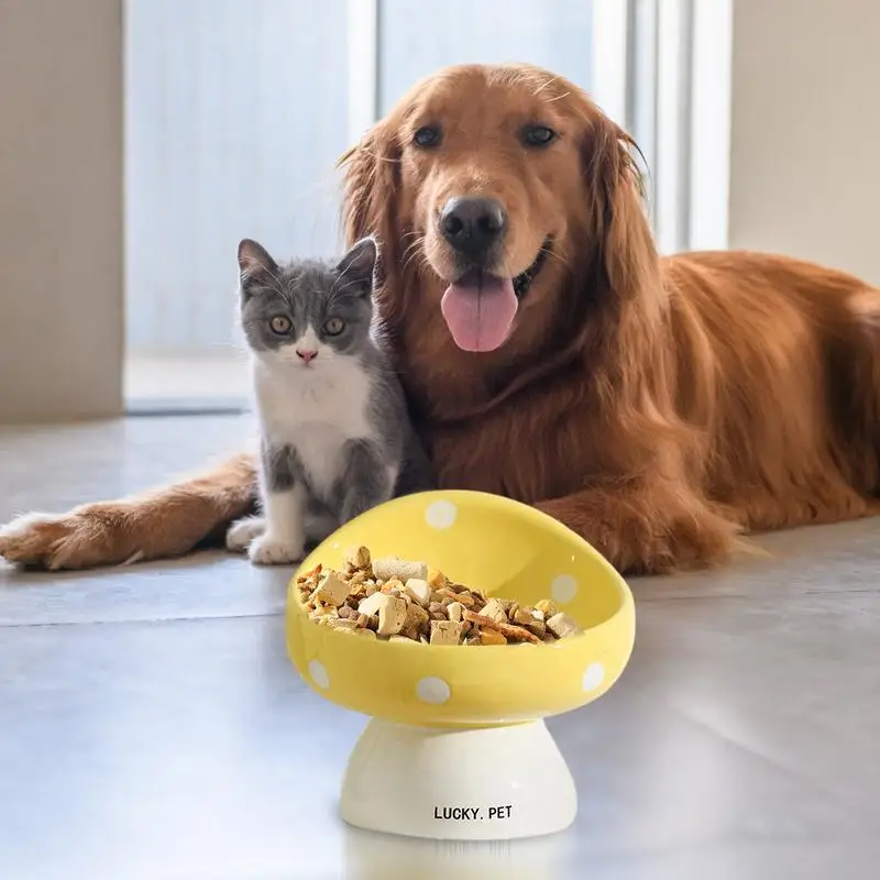 Cat Elevated Food Bowl - Image 4