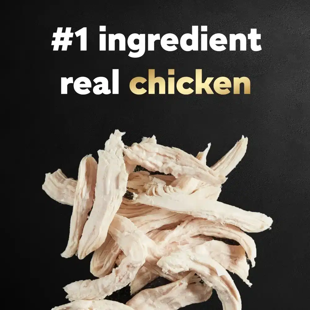 Cesar Small Breed Rotisserie Chicken And Spring Vegetables Dry Dog Food Adult, 12 Lb. Bag - Image 2