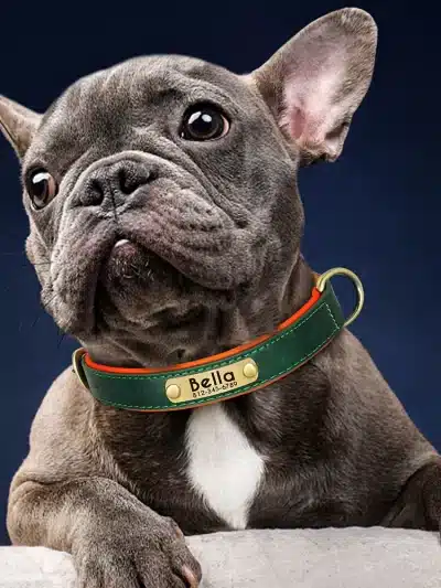 Customized Leather ID Nameplate Dog Collar Soft Padded Dogs Collars Free Engraving Name for Small Medium Large Dogs Adjustable