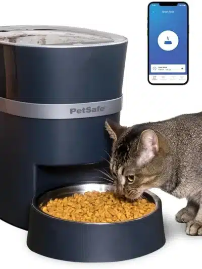 Water Fountain for Cats