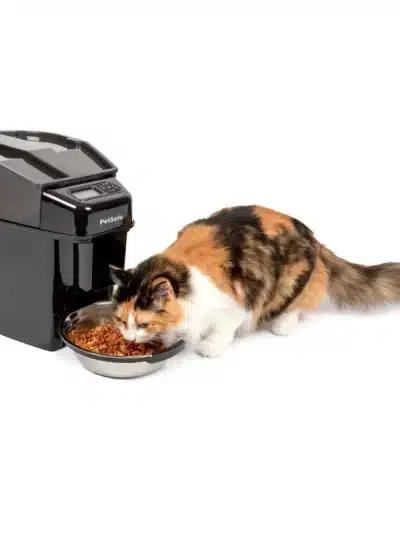 Automatic Cat Feeder