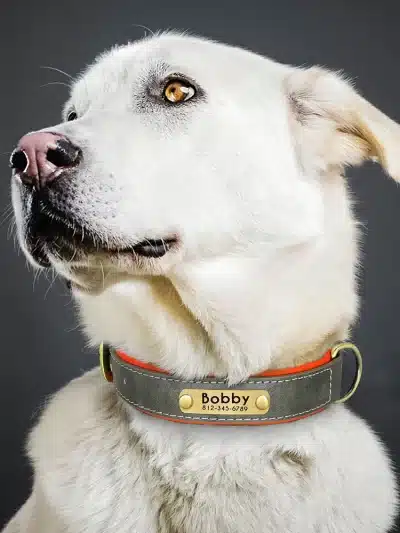 Customized Leather ID Nameplate Dog Collar Soft Padded Dogs Collars Free Engraving Name for Small Medium Large Dogs Adjustable