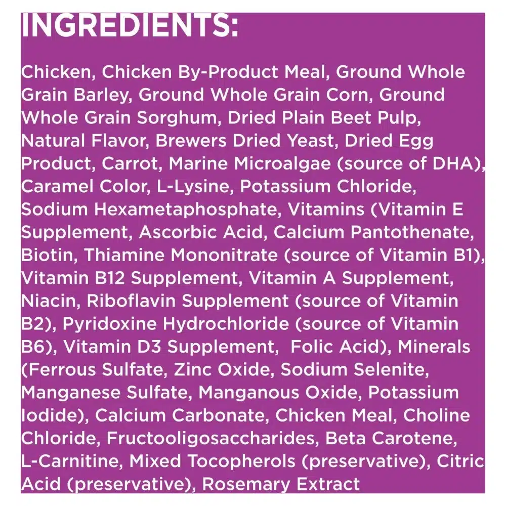 IAMS Healthy Aging Adult Dry Dog Food for Mature and Senior Dogs with Real Chicken, 29.1 lb. Bag - Image 6