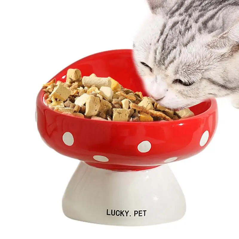 Cat Elevated Food Bowl
