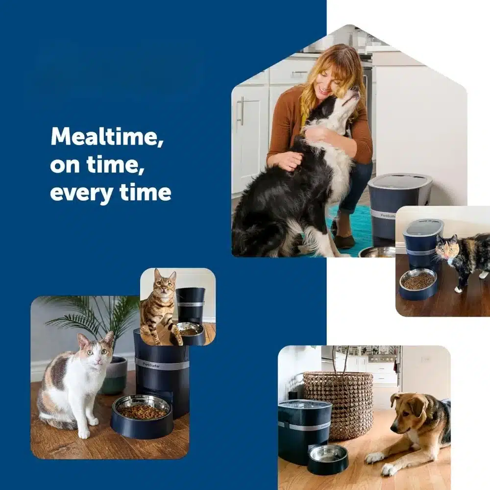 Water Fountain for Cats - Image 5